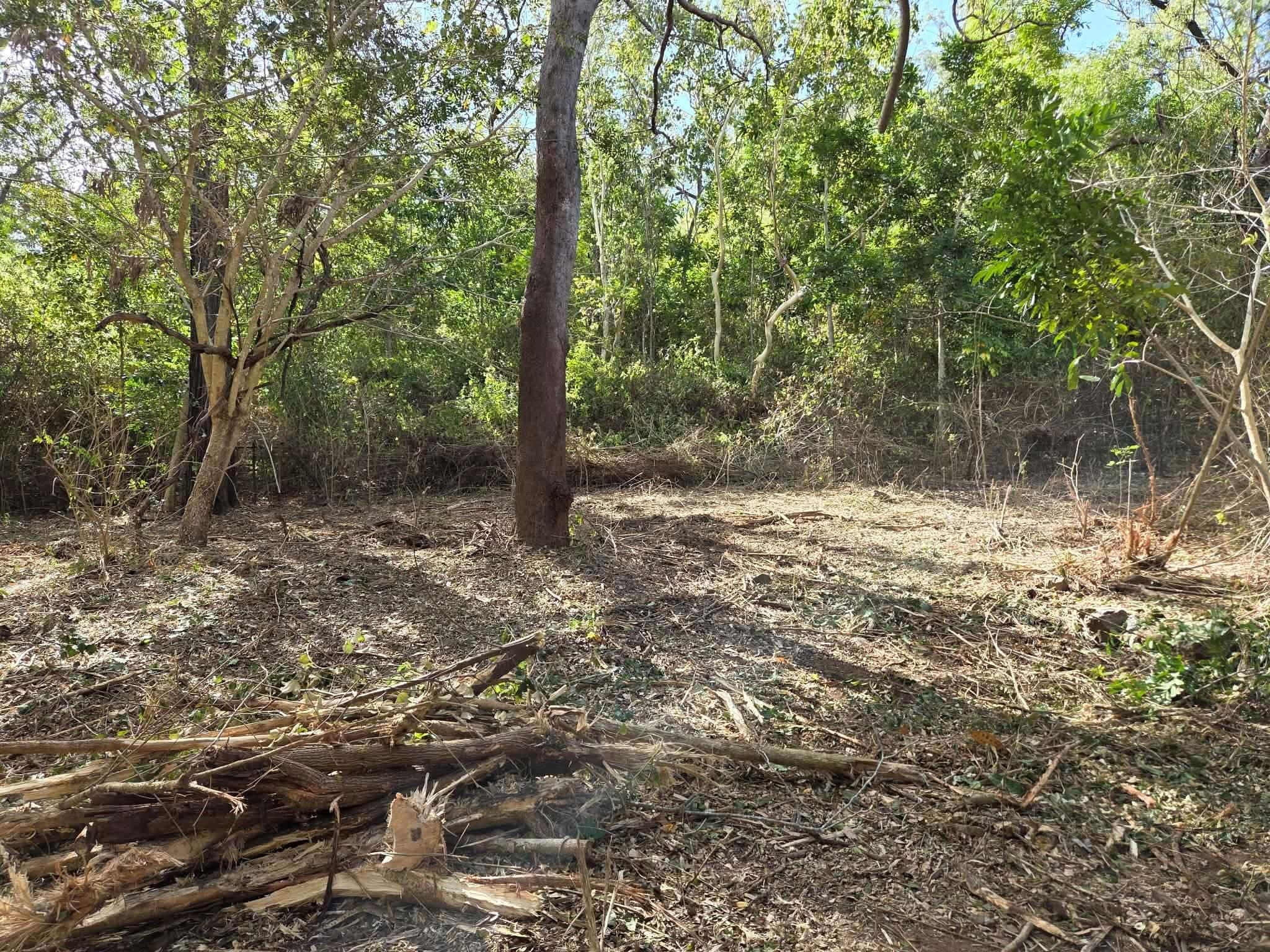 Wild Country Land Care and Earth